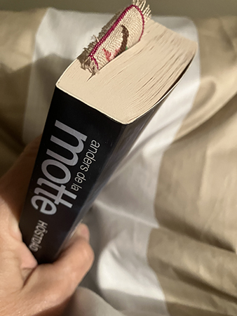 En fjärdedel kvar att läsa av Höstdåd