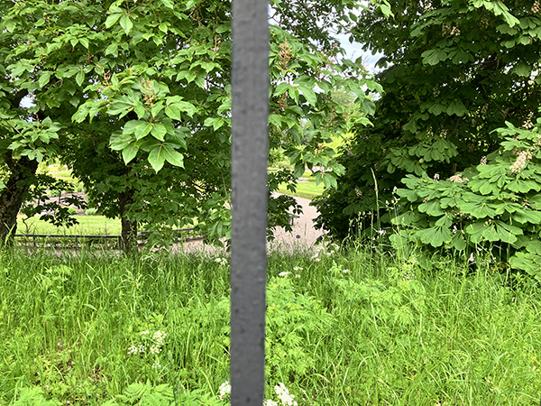 Grönska i Barockträdgården