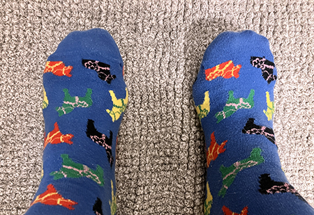 Happy Socks blåa med dalahästar