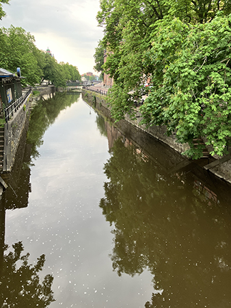 Fyrisån junimorgon Fyrisån junimorgon