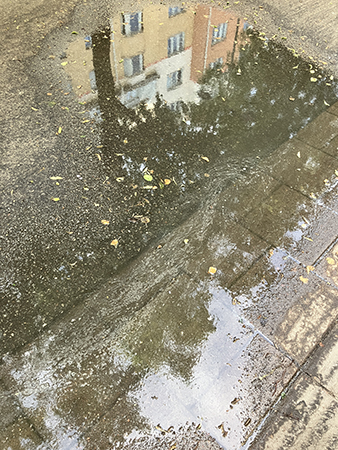 Vattenpöl som speglar hus