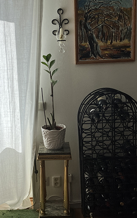 Garderobsblomman på den högre piedestalen