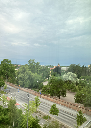 Morgonutsikt med grå himmel från jobbfönstret