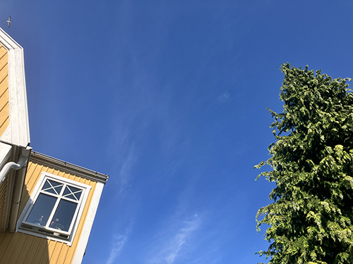 Gult hus med vita fönsterkarmar och en hög cypress mot blå himmel