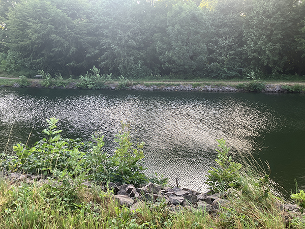 Blåsig kvällspromenad vid kanalen