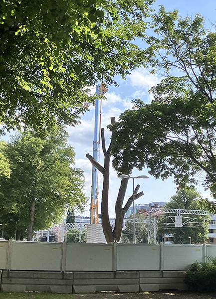 Pålningsmaskin o dött träd vid järnvägen St Olofsgatan