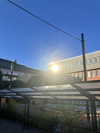 Sol slår i ett fönster blå himmel