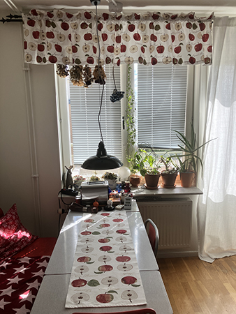 Köket med äppellöpare och äppelgardinkappa