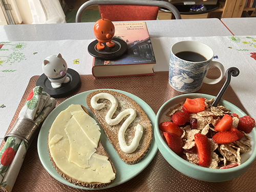 Frukost med Hopptisarna och Kärleksroman