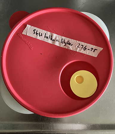 Matlåda med stekt kalkon o klyftor