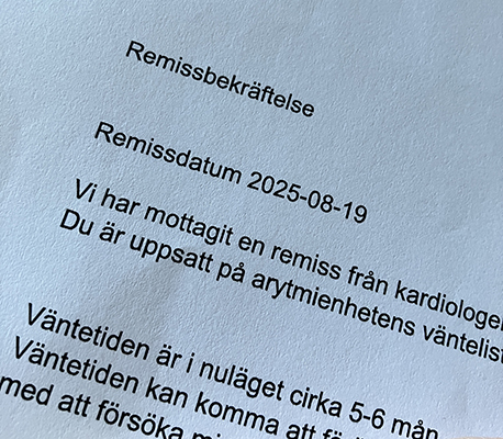 Remissbekräftelse 19 aug 2025