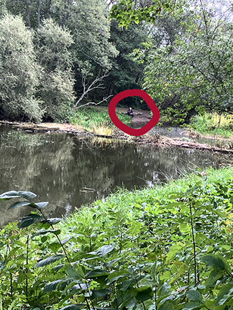 Ensam person vid vatten