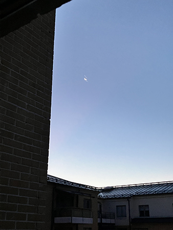 Ljus morgon med en liten månskära