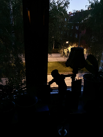 Arbetsrumsfönstret utsikt från tidig morgon