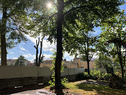 Septembersol vid Österplan