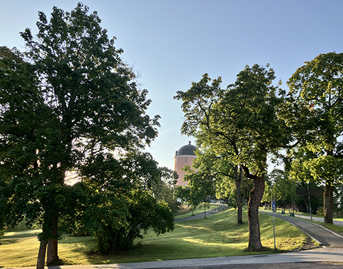 Norra tornet sett frånn Carolinabacken