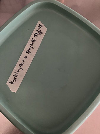 Matlåda med kycklingfärs och spaghetti