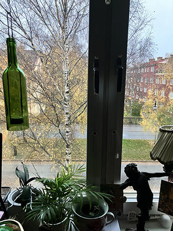 Arbetsrumsfönstret o björken utanför höst