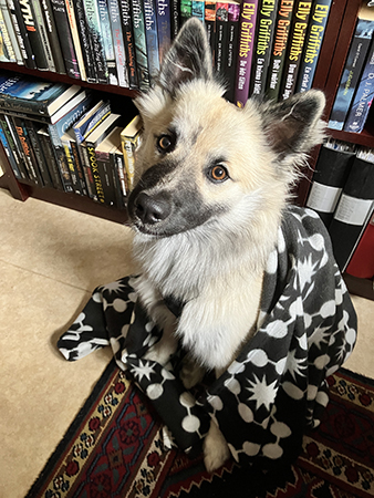 Baldur busar med filten