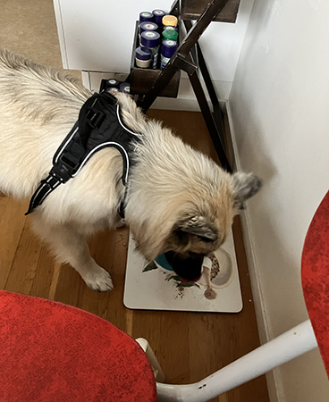 Baldur kollar in matstället