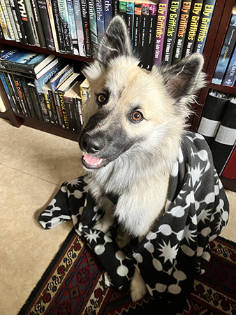 Baldur busar med filten med öppen mun