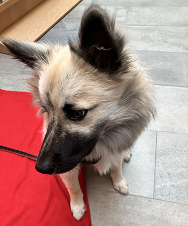 Baldur tittar neråt 1 okt 2025