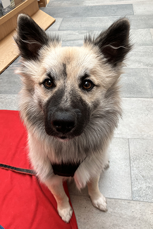 Baldur tittar rakt in i kameran