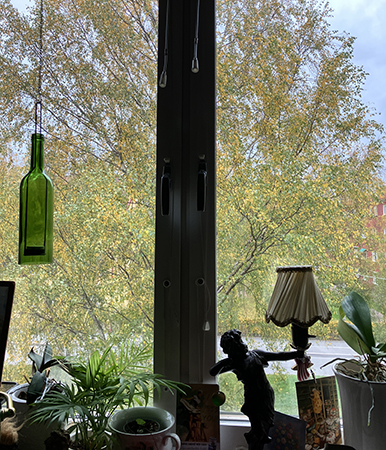 Gul björk utanför fönstret mot St Olofsgatan Gul björk utanför fönstret mot St Olofsgatan