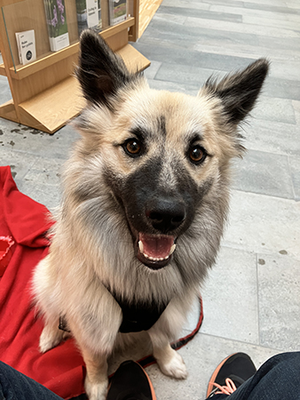 Baldur med öppen mun