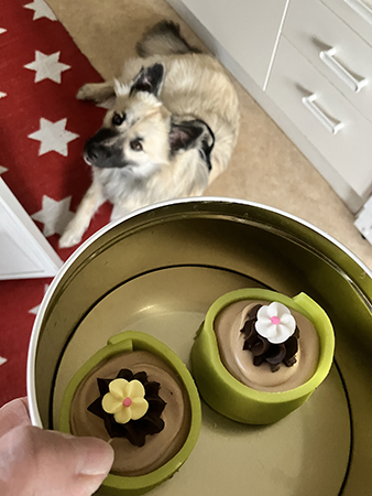 Baldur och två Noisette