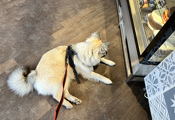 Baldur tittar på tårtor i Trillerbutiken