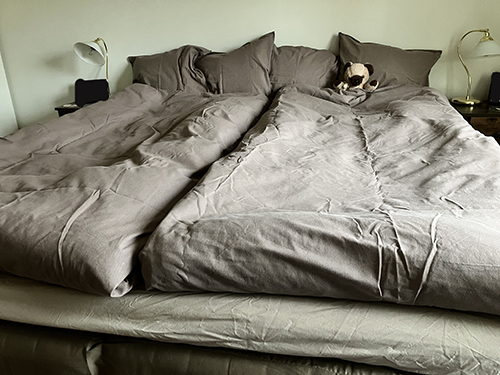 Renbäddat för november 2025