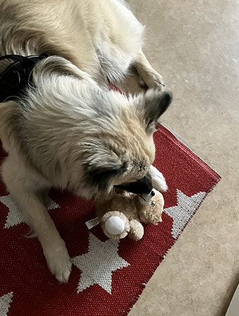 Baldur med leksaken han fick av Mia