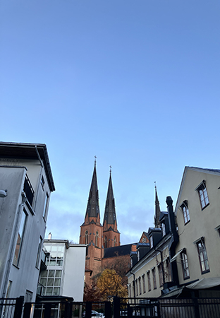 Domkyrkotornen mellan hus fotade från Trädgårdsgatan