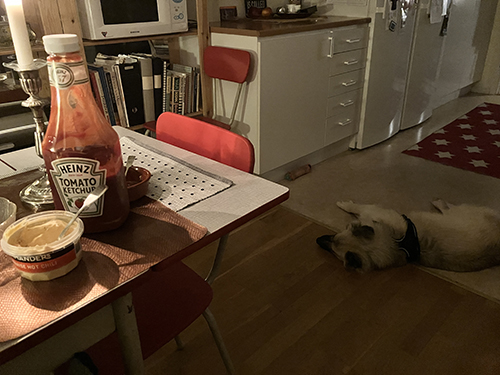 Trött Baldur till höger om matbordet