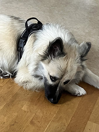 Baldurs ögon Baldurs ögon