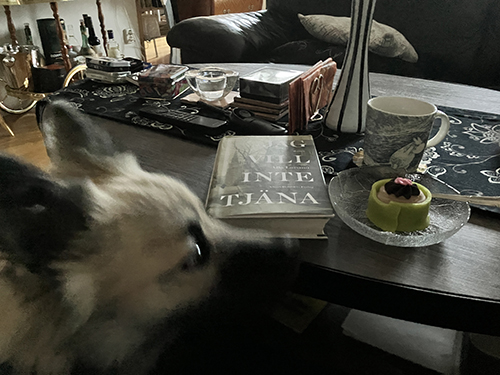 Baldur boken Jag vill inte tjäna och Noisette