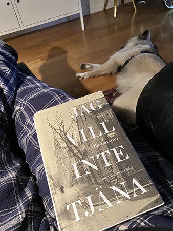 Eftermiddagsläsning Jag vill inte tjäna och trött Baldur