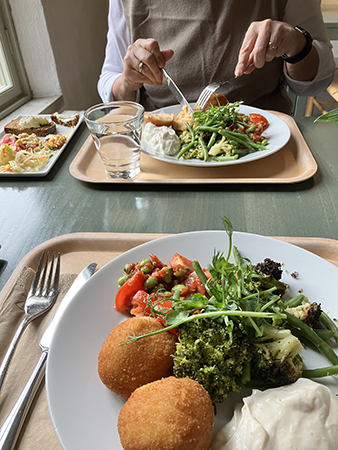 Vegetarisk slottslunch med A