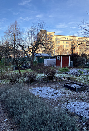 En frusen trädgård och ett modernt kolosshus bakom annandagen