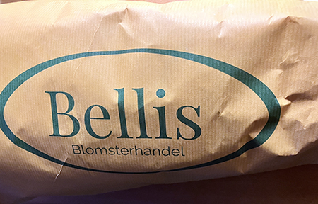 Paket från Bellis