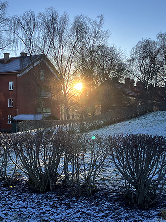 Sol mellan husen fotad från Höganäsparken julafton