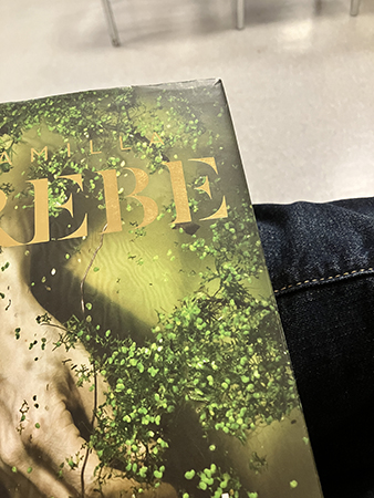 Boken Dvalan i knäet