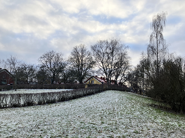 Frostig promenad i Höganäsparken