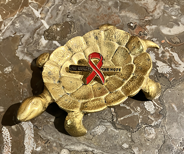 Världsaidsdagen den 1 december pin röd rosett