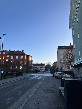 Botvidsgatan