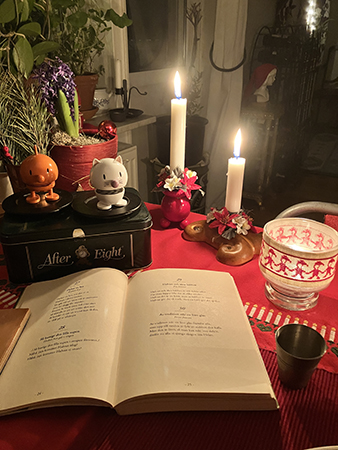 Snapsviseboken uppslagen Hopptisarna snapsglas levande ljus