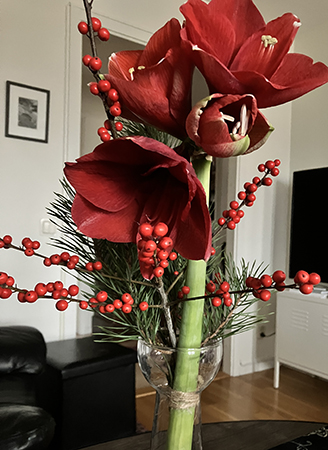 Amaryllis med fyra klockor sommarjärnek o tall i vas