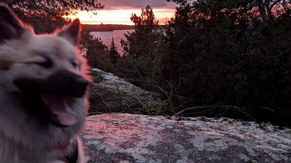 Baldur på Wik foto MT