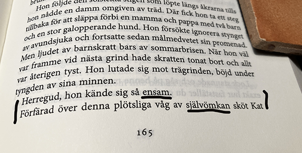 Citat om ensamhet och självömkan i boken På ett ögonblick